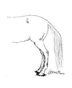 Toelichting Lumberen = als een paard z’n staart niet hoog genoeg opbeurt tijdens het pissen.